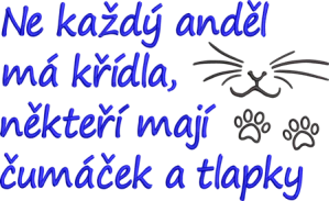 Osuška pro milovníky koček - Ne každý anděl má křídla, někteří mají čumáček a tlapky
