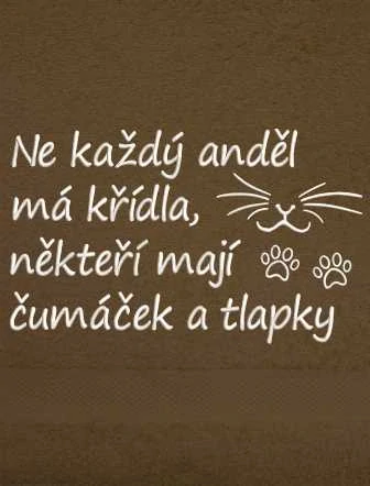 Ručník pro milovníky koček - Ne každý anděl má křídla, někteří mají čumáček a tlapky