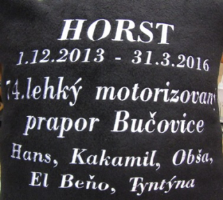 Polštář - vlastní výšivka
